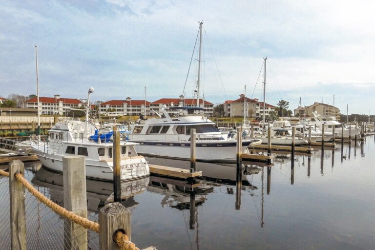 Cricket’s Greatest Final-Over Thrillers