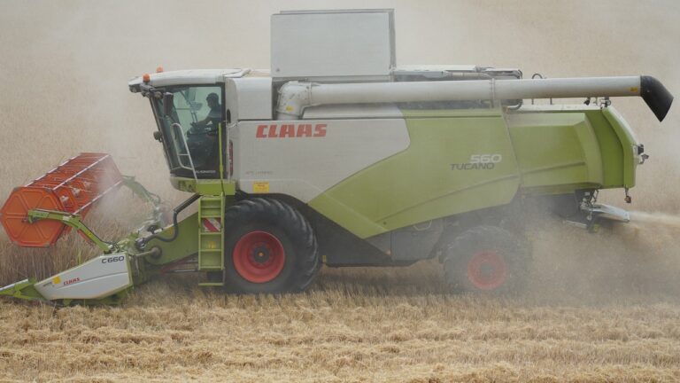 Global Food Trends: What to Expect in the Next Decade