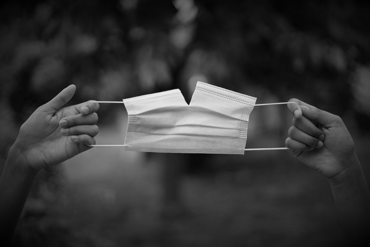 Understanding the Benefits of Plant-Based Diets for Autoimmune Health