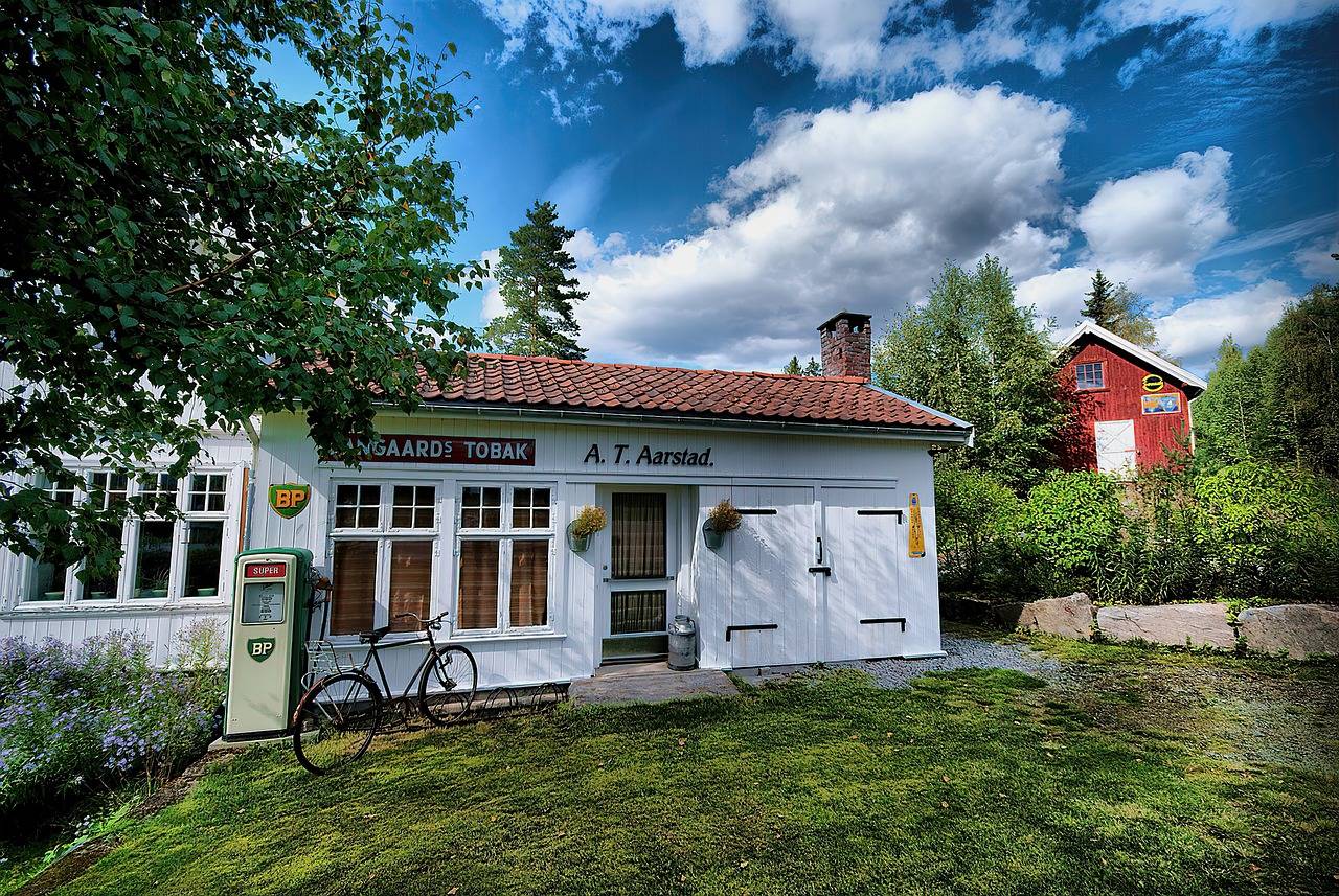 The Role of AI in Sustainable Agriculture