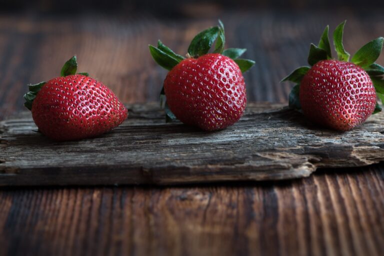 Exploring the Link Between Nutrition and Inflammatory Disorders
